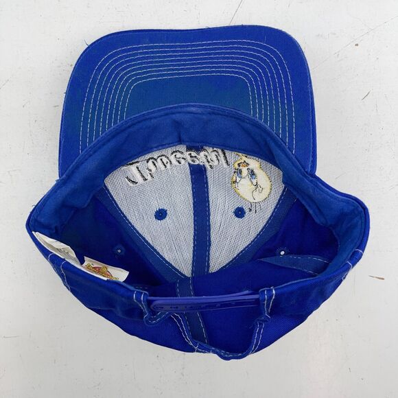 1998 Looney Tunes Tweety Bird Hat Cap Embroidered Blue Strapback Vintage - Picture 10 of 13